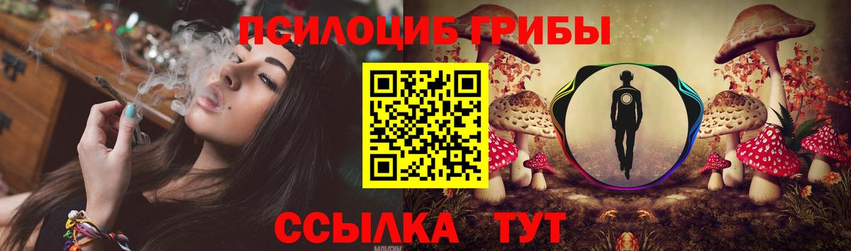 Псилоцибиновые грибы Psilocybe Белогорск